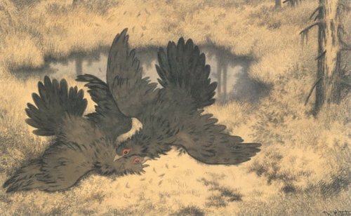 theodor-kittelsen:The Troll Birds go at it hammer and tongs, 1900, Theodor Severin Kittelsen