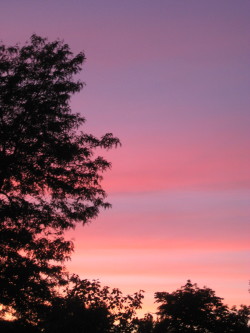 peace-and-awe:  pink/purple sky   my original