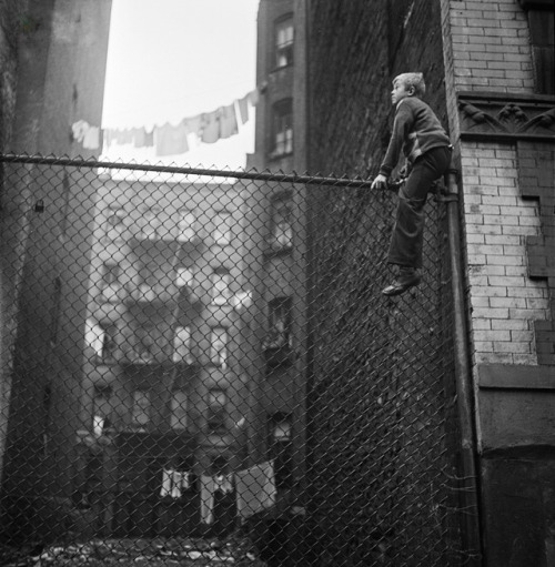 joeinct: Boy on the Fence, NYC, Photo by Stanley Kubrick, 1947