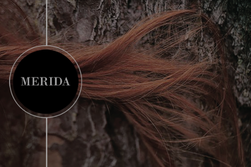 clempennyfeather:Witchy Disney ➵ Merida