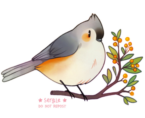 sergle:winter birds and winter berries!!these guys were voted to be this month’s patreon stickers! 