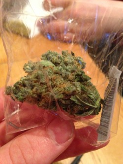 weedporndaily:  What £20 gets you in Scotland