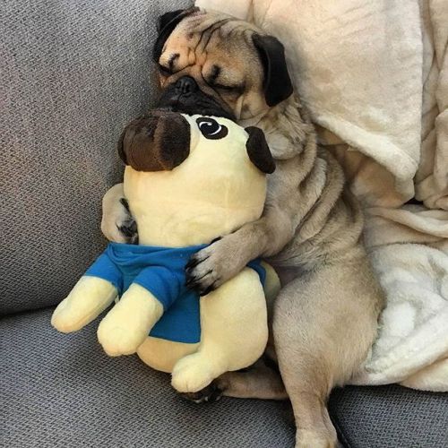 😊