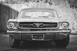 holdemhigh:  Grandfather’s 1965 Mustang..  All credit to Zach Todd 