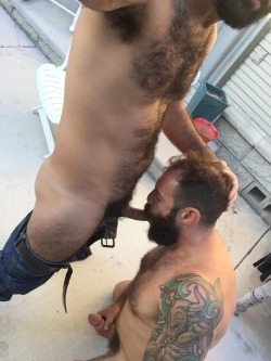 hairystylz:  Top 300 Reblogs of 2015!! W♂♂F #141“The Hairier The Merrier” https://www.tumblr.com/blog/hairystylz
