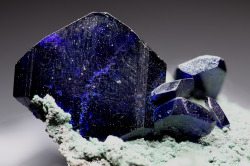 themineralogist:  Azurite from Namibia - 1.4 cm across (by Steve Sorrell)