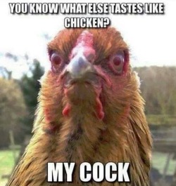 memeguy-com:  I got a fowl joke for you