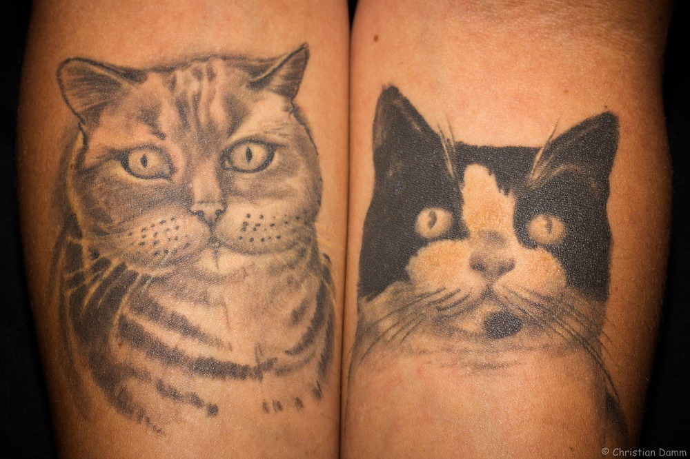 mostlycatsmostly:  (via Christian Damm)