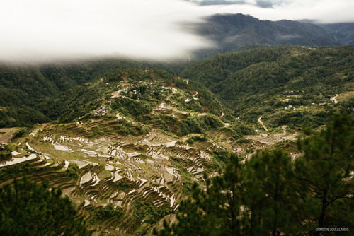 justinjovellanos: Maligcong TerracesBontoc, Mountain Province | Cordillera Region Nikon D710024-70mm