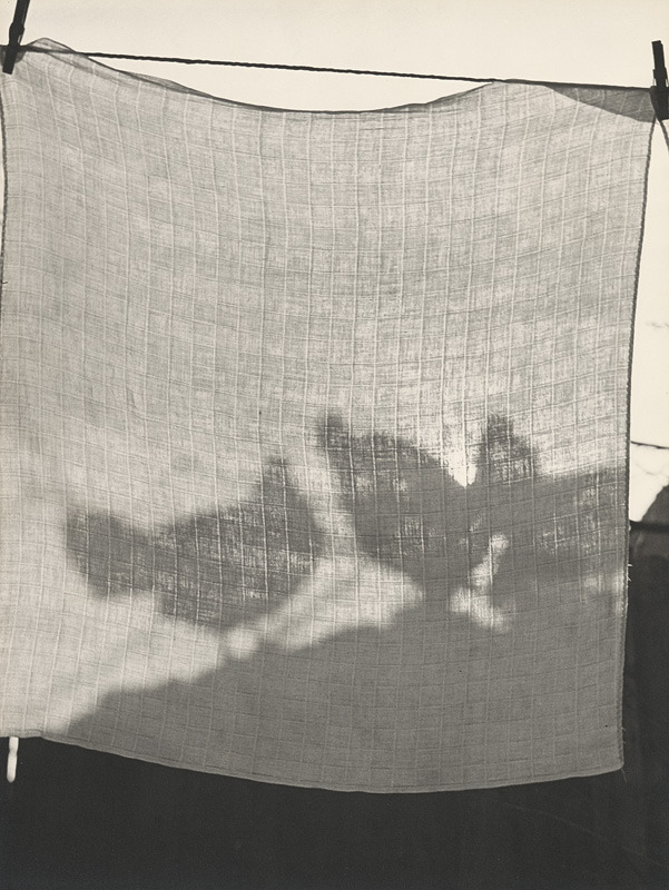 gacougnol:  Jozef ZubrickýIndiscreet curtain 1960 