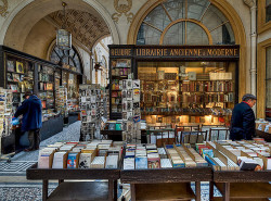 littledallilasbookshelf:  Galerie Vivienne by Claude ROZIER on Flickr. books at Galerie Vivienne, paris 