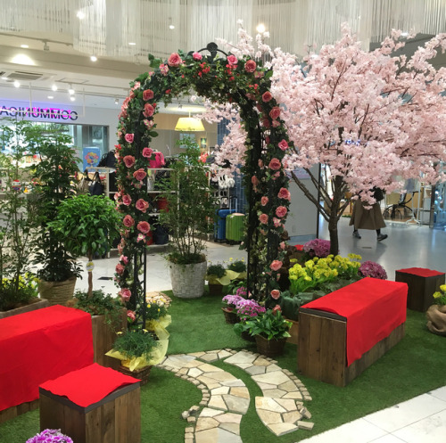 Spring came finally to Japanese department store #japan #japanese #japaneseseason #japapanesespring 