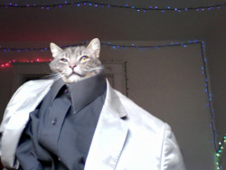 renancu:  THE SURGERY WAS A SUCCESS  HA! The idea that a cat could perform surgery, and in such dapper attire!