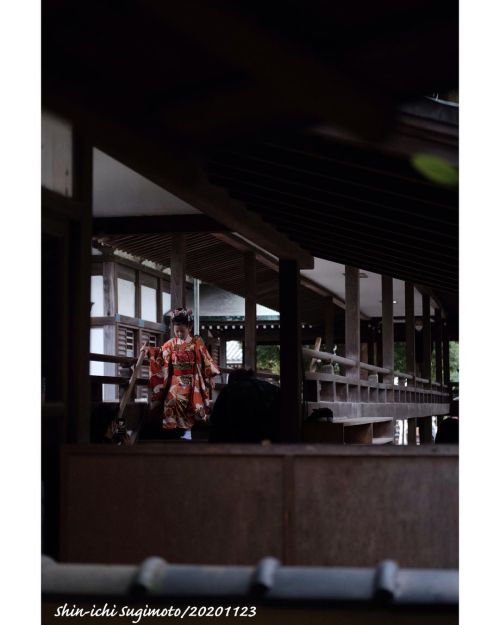 休日スナップ 2020.11.23 柴又帝釈天 #fujifilm_xseries #fujixt3 #スナップ #寺院 #寺院巡り #帝釈天https://www.instagram.com/