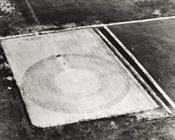 Étude des effets de la radiation du colbalt sur les récoltes au laboratoire national de Brookhaven à Long Island, 1949.