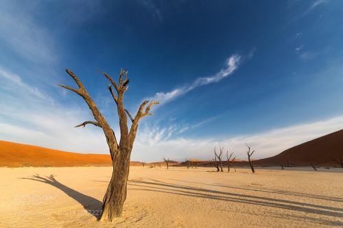 Stretching Shadows by Keith-Connelly namibia,namib,Nature,Landscape,Sunrise,Desert,Africa,Safari,Dea