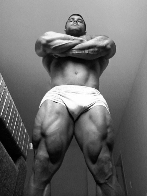 Quads of peace