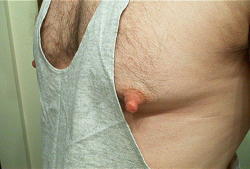 These nipples are pretty tempting.  For more gay nippleplay, visit Nipple Pigs