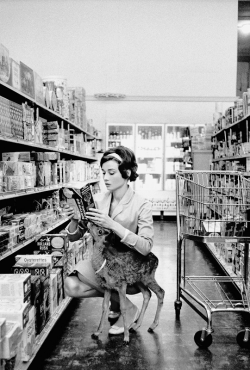 vintagegal:  Audrey Hepburn photographed by Bob Willoughby shopping in Beverly Hills with her pet fawn Ip, 1958