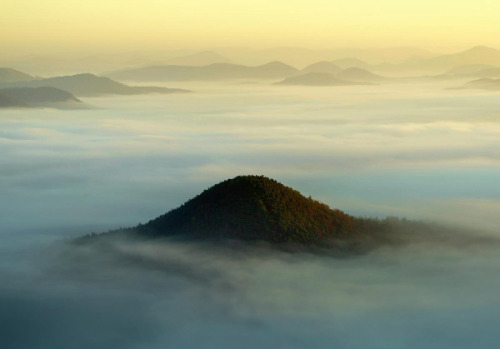 foxmouth: The Fog, 2014 | by Kilian Schönberger