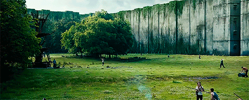 amazedrunner:  The Maze Runner + scenery  