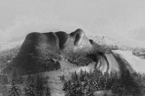 nevver:  Landscape suicide, Sumyko
