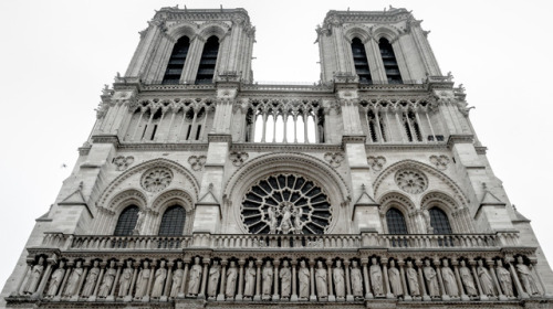 Notredame