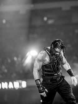 legendreigns:  @SteveWrightJr:   @WWERomanReigns is always interesting to photograph. It’s something special with him. You can feel the calm before the storm in this photo. (x)