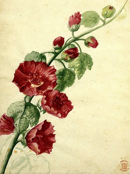 stilllifequickheart:  Jan van Huysum Flower Study 18th century 