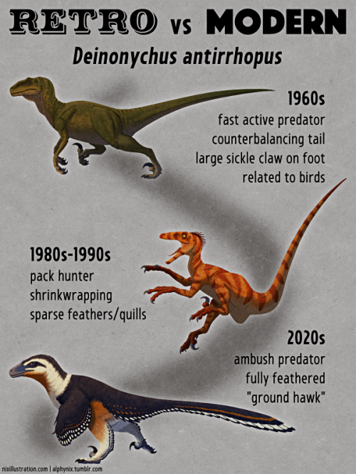 alphynix:Retro vs Modern #21: Deinonychus antirrhopusDeinonychus antirrhopus was one of the most sig