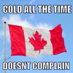 wannajoke:  Good guy Canada http://wanna-joke.com/good-guy-canada/