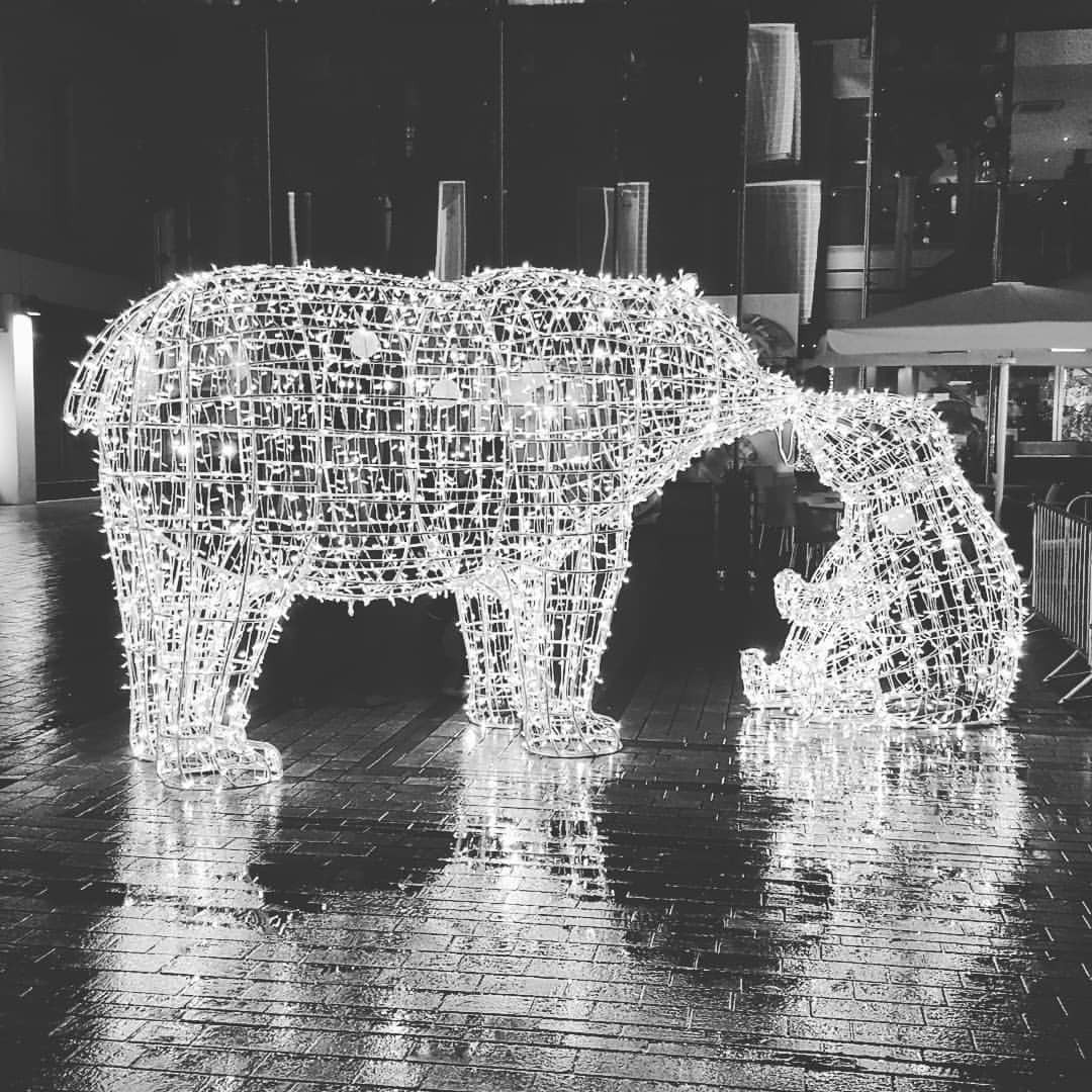 blog