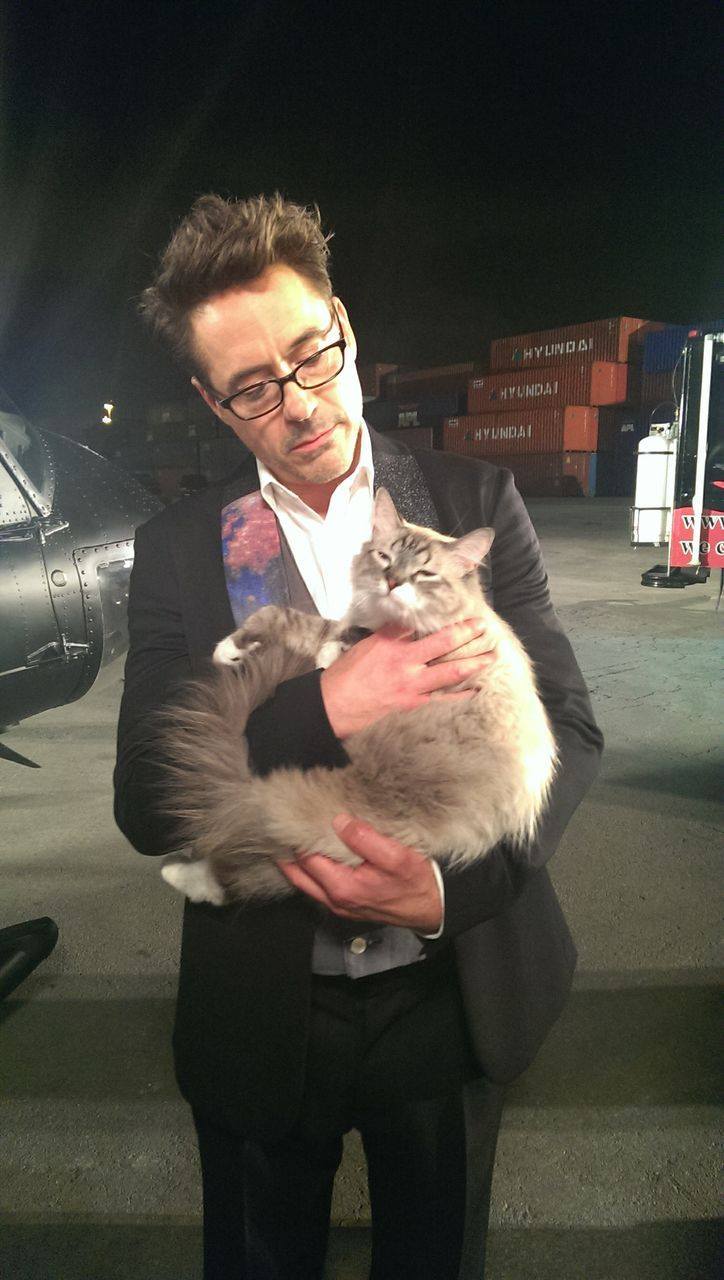 And here we have a rare photo of Iron Man,   petting what looks like a very satisfied