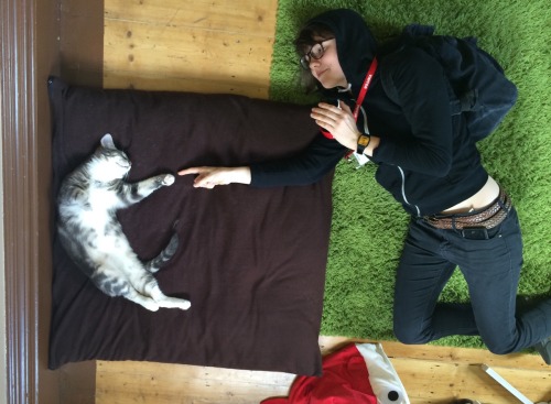 trinandtonic:tehawesome:Took this photo at a cat cafe in Melbourne.The Creation of Catdam on the cei