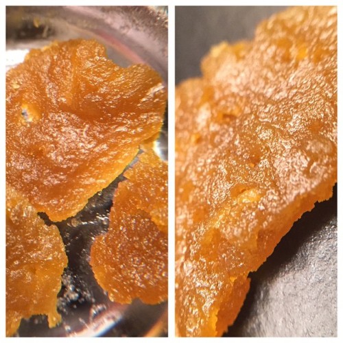 terpsincluded:  Witchdoctor #witchdoctor #cannabis #terpenes #terpsincluded #terpenesincluded #bho #wax #sugar #homemade #practice #research #dabs #purge #vacuum