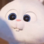 blueberrybunzz