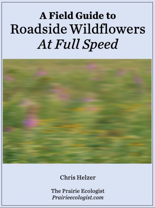 Sex nevver:A Field Guide to Roadside Wildflowers pictures