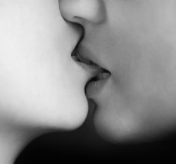 pussylesqueer:    LesBeehive   