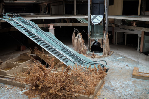 terrifiantus:Photos taken in Rolling Acres, an abandoned mall in Akron, Ohio.This is really close to
