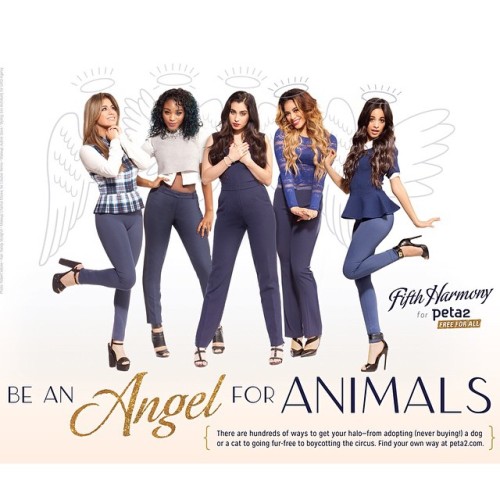 You don’t need wings or a halo to be an angel! Join us in @officialpeta2’s ‘Be An Angel 