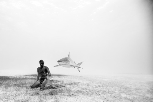 guthund: patagonia: Taken on breath-hold, a curious lemon shark cruises by my husband, Eusebio, in t