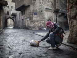 A Free Syrian Army fighter feeds a cat in the old city of Aleppo. &copy; Musaffar Salman, Reuters.