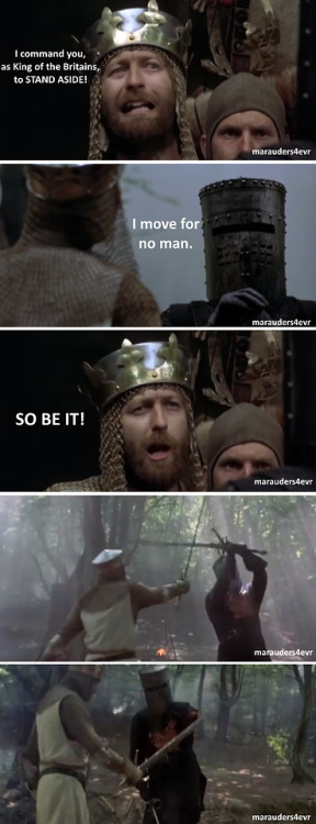 juicyj-caint:  rustlingpages:marauders4evr:It’s just a flesh wound.The single greatest scene in cinematic history.If you try to tell me you didn’t read those lines in those voices then you’re a LIAR  My favorite scene of any movie ever