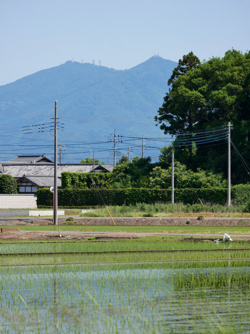  2022年5月29日13:48