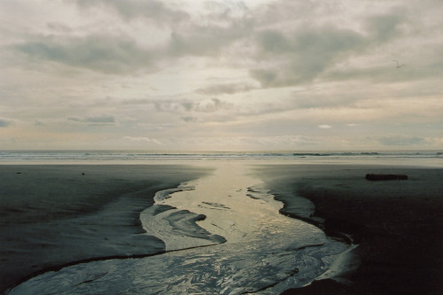 brutalgeneration:  (by Photomawf) 