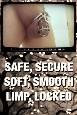 chastity-guy01: eraobsequium:   imcagedbywife:  Well said, stay limp and locked, it’s best for us betas males!              Courtesy of @funplay4us  Life is good! 😍😍🔐   Same cage as mine 😘😈👍 
