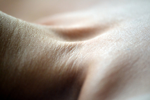 Sex aurantiacis:  skin by elif demir on Flickr. pictures