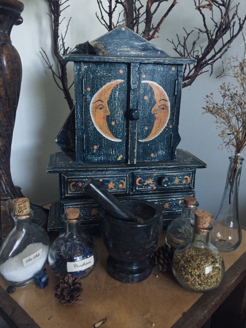 daniwitch:rosemary-by-your-garden-gate:witches cabinet appreciationOhhh myyy