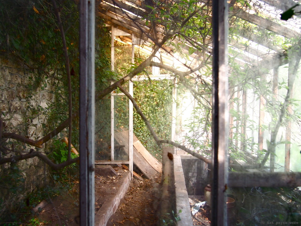 sassygapeach79:upstatej Great pics sassygapeach79, nature taking over!