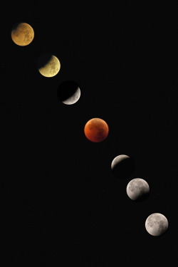 -fuckthisscene:  Lunar Eclipse by Pete